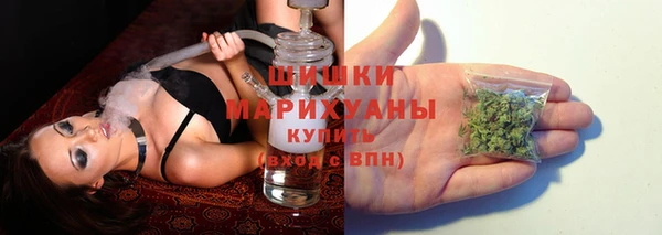 шишки Армянск