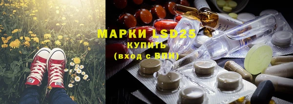 шишки Армянск