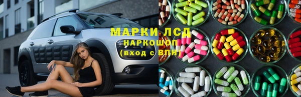 шишки Армянск